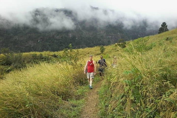 Koroyanitu Half-Day Waterfall Hike from Nadi — Private Village & Lovo Lunch photo 1