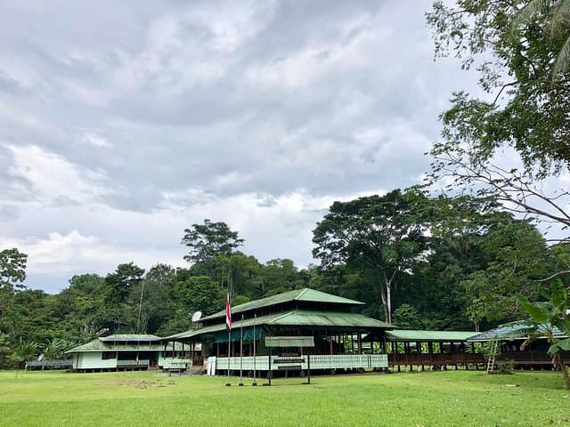 Sirena Station Corcovado One-Day Wildlife Hike from Quepos