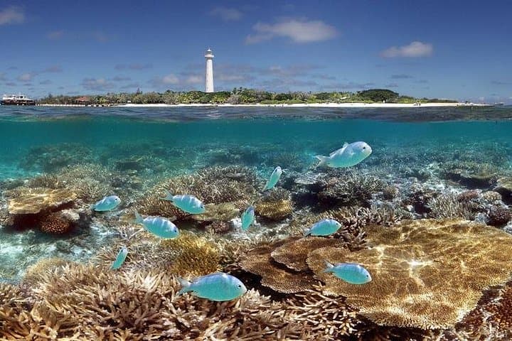 Amedee Lighthouse Day Trip from Nouméa: Glass-Bottom Tours, Snorkeling & 247-Step Lighthouse Climb photo 1