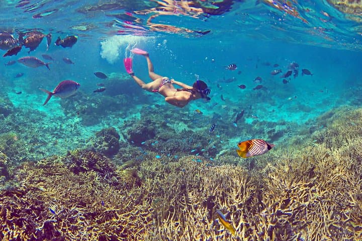 Amedee Lighthouse Day Trip from Nouméa: Glass-Bottom Tours, Snorkeling & 247-Step Lighthouse Climb photo 2