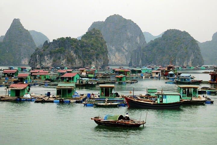 Sea Octopus Luxury Halong Bay Day Cruise from Hanoi photo 6