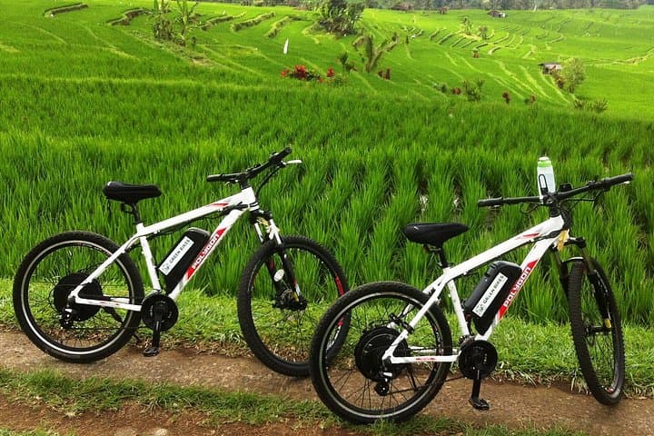 E-Bike Through Jatiluwih: Ride Bali's UNESCO Rice Terraces
