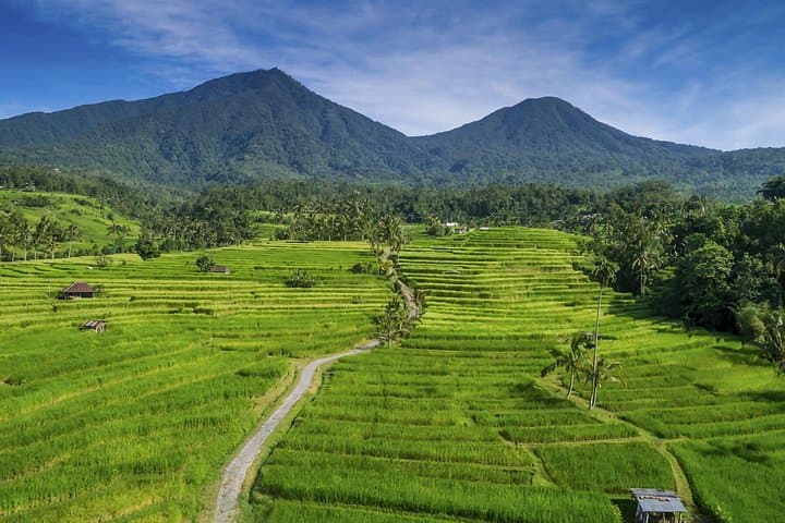 E-Bike Through Jatiluwih: Ride Bali's UNESCO Rice Terraces photo 3