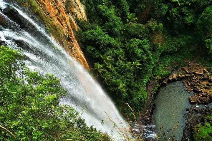 Private Gondwana Rainforest & Waterfalls Tour from Gold Coast photo 2