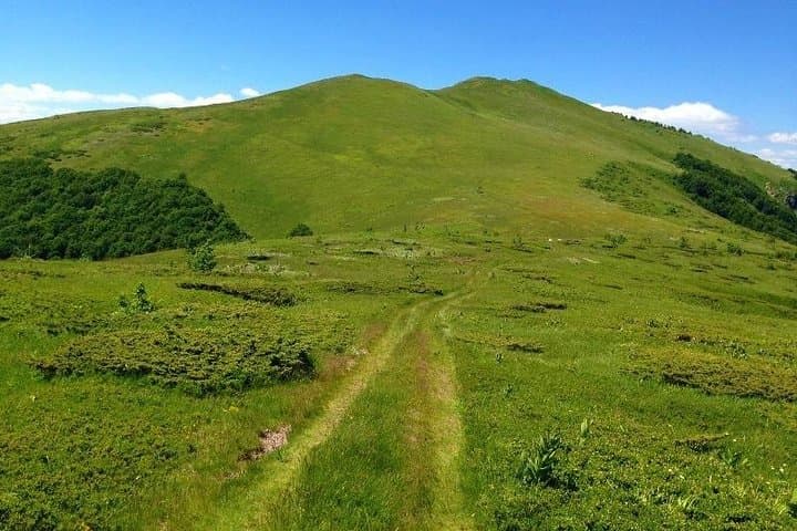 Bjelasica Day Hike: Troglava & Zekova Glava with Biogradsko Lake Views photo 5