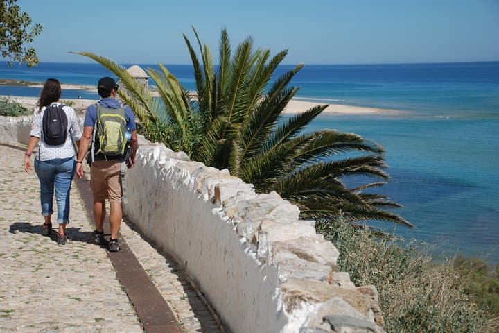 Tavira on Foot: Self-Guided Coastal Walks Through the Ria Formosa photo 4