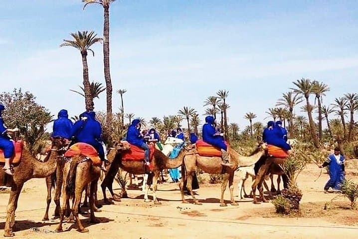 Camel Ride in Marrakech Palm Grove: 1-Hour Dromedary Trek & Mint Tea photo 4