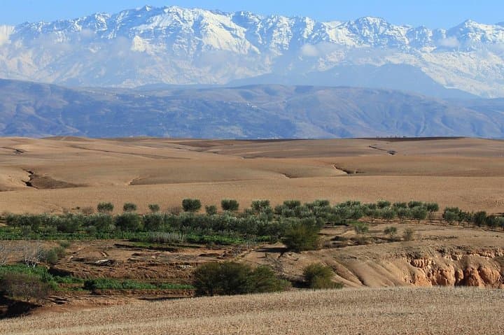 Day Trip from Marrakech to Agafay Desert & Lake Takerkoust — Private 8‑Hour Tour photo 5