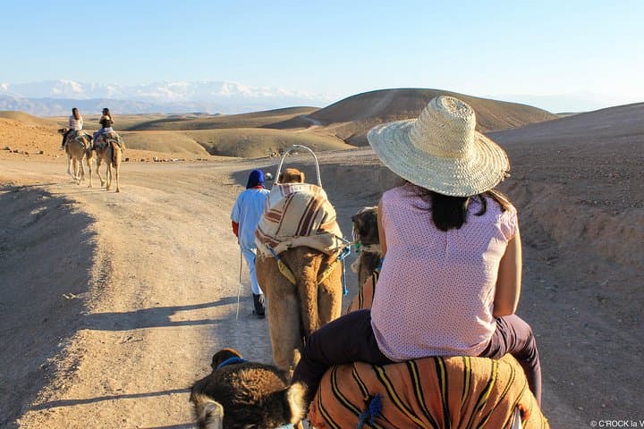 Agafay Desert Quad Bike, Camel Ride & Dinner Show — Day Trip from Marrakech photo 3