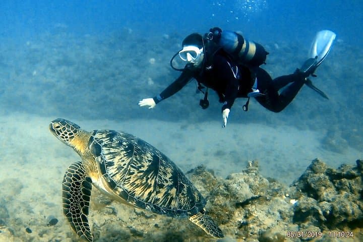 Mauritius Discover Scuba: Your First Bubbles Off Grand Baie photo 2