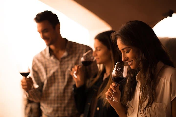 Half-Day Concha y Toro Winery Tour from Santiago — Maipo Alto Tasting & Gardens