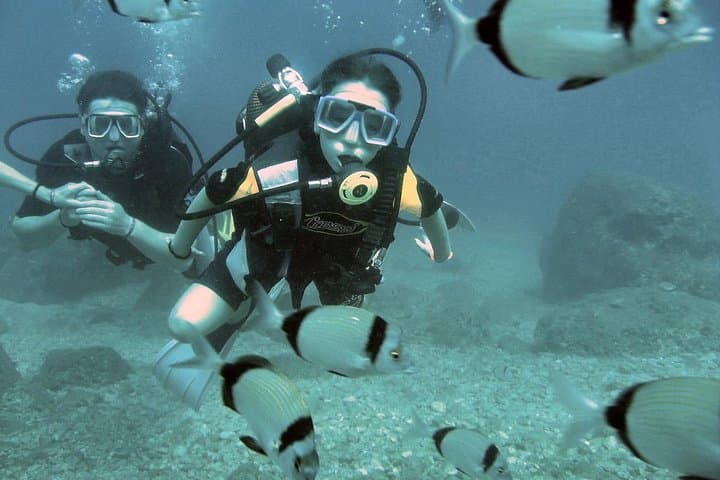 Discover Scuba Diving in Alanya: 2 Dives, Boat Lunch & Beginner-Friendly Course photo 3