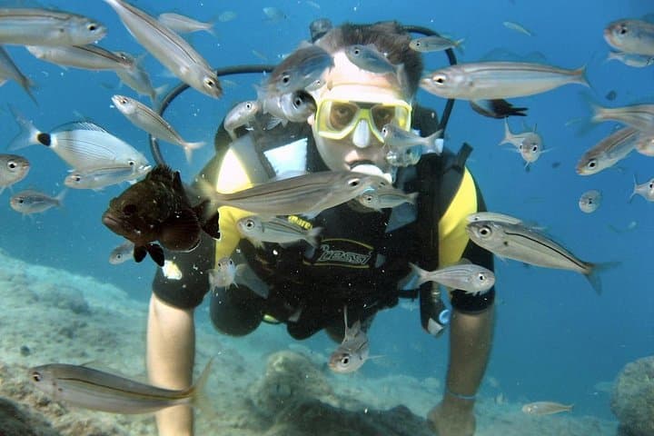 Discover Scuba Diving in Alanya: 2 Dives, Boat Lunch & Beginner-Friendly Course