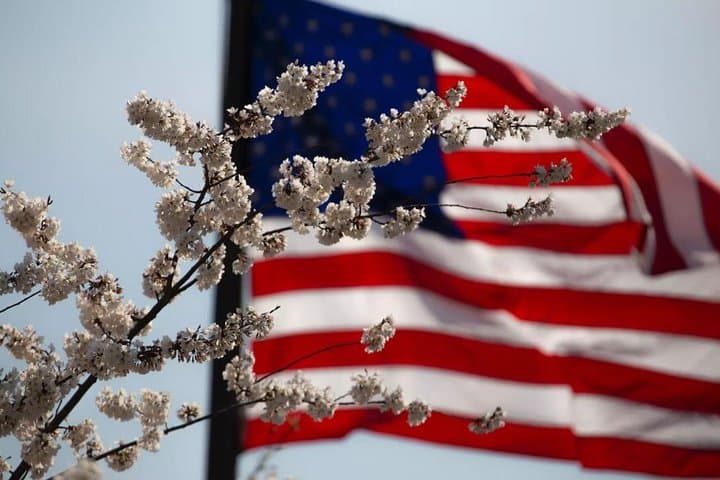 Small Group DC Van Tour: Day & Night Monuments, Mall Highlights photo 5