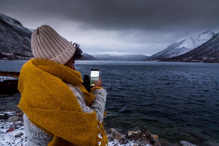 Arctic Nature Photography Tour from Tromsø — Fjords, Reindeer & Winter Whales photo 5