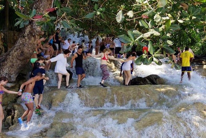 Dunns River Falls & Blue Hole Private Tour from Montego Bay — Day Trip Guide photo 2