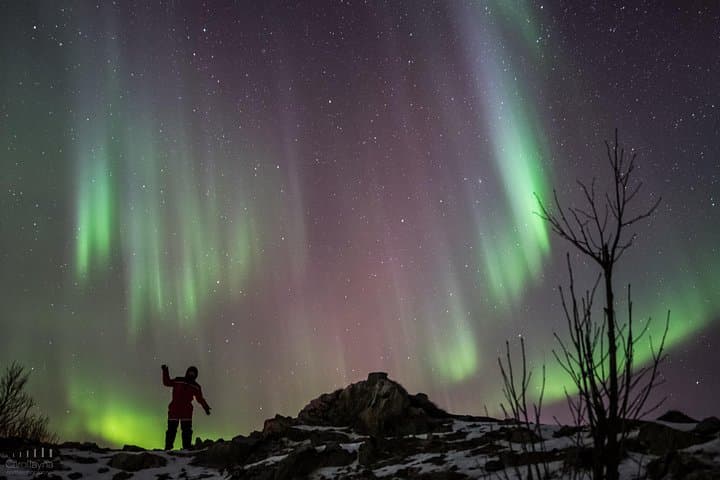 Northern Lights Small-Group Tour from Tromsø — All-Inclusive Aurora Chase photo 3