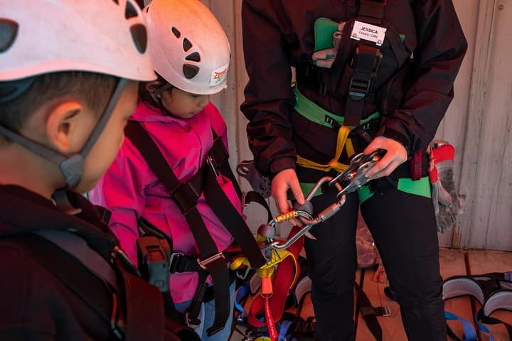 Zipline Adventure in Whistler: Glide Between Whistler & Blackcomb With Eco-Guides photo 6