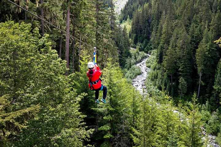 Zipline Adventure in Whistler: Glide Between Whistler & Blackcomb With Eco-Guides photo 2