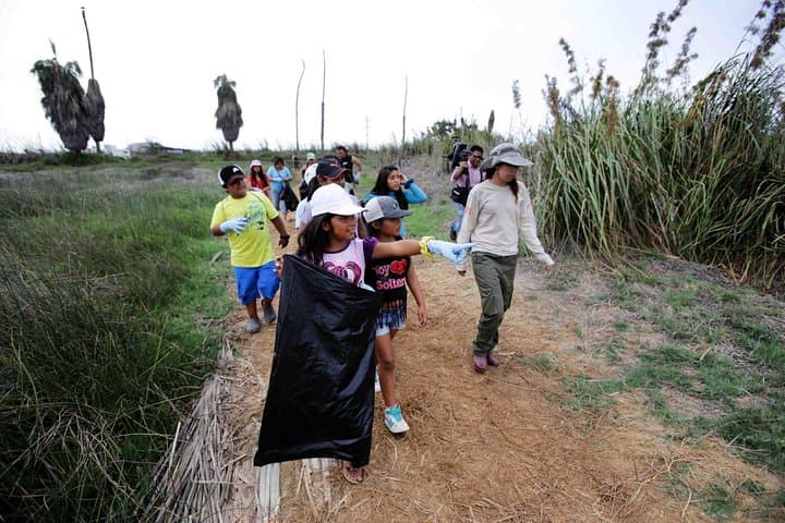 Private Wetland Trek at Pantanos de Villa — Chorrillos Birdwatching Near Lima photo 4