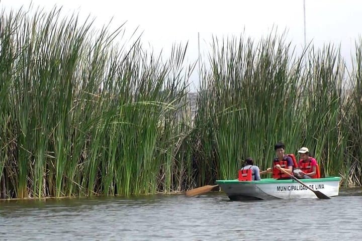 Private Wetland Trek at Pantanos de Villa — Chorrillos Birdwatching Near Lima photo 6