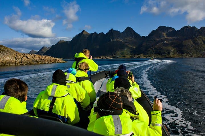 Sea Eagle Safari to Trollfjord: RIB Adventure from Svolvær photo 2