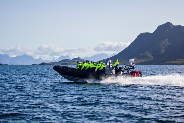 Sea Eagle Safari to Trollfjord: RIB Adventure from Svolvær photo 5