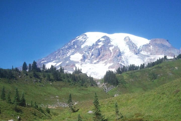 Mount Rainier Private SUV Tour: Full-Day Scenic Drive, Waterfalls & Wildflower Meadows from Seattle