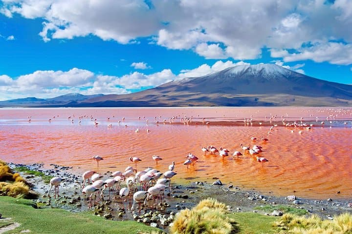 4-Day Uyuni & La Paz from Puno — Salar de Uyuni Salt-Flat Expedition photo 4