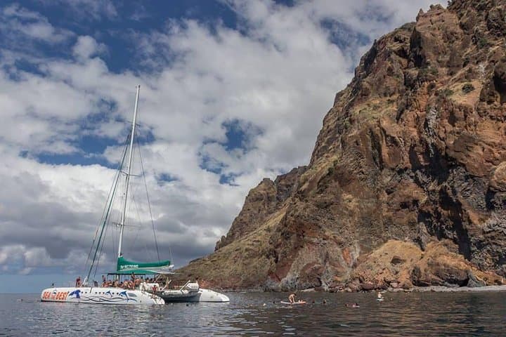 Madeira Jeep, Wine Tasting & Cabo Girão Skywalk with Dolphin-Watching Catamaran photo 5