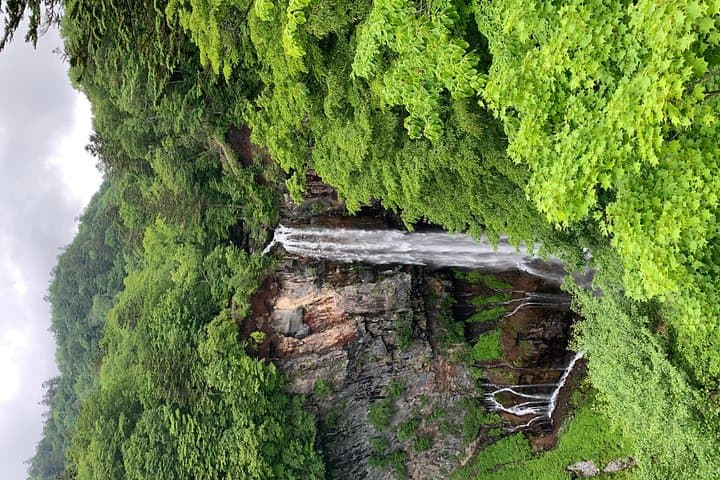 Nikko Private Day Trip: Toshogu Shrine, Kegon Falls & Lake Chuzenji photo 2