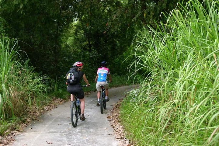 Private Nam Cat Tien National Park: 2-Day Wildlife & Wetland Escape from Ho Chi Minh City photo 2