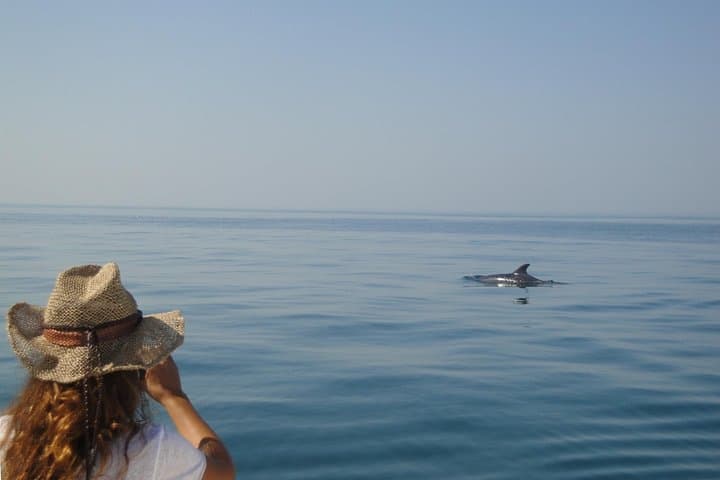 Dolphin Watching Boat Trip Along the Arrábida Coast from Sesimbra photo 5