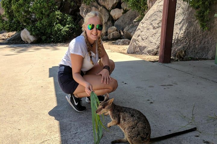 Magnetic Island Day Tour: A Comprehensive Guide to Maggie’s Best Sights photo 6