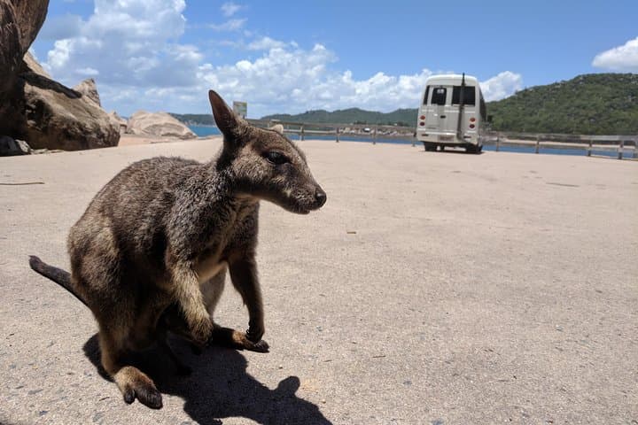 Magnetic Island Day Tour: A Comprehensive Guide to Maggie’s Best Sights