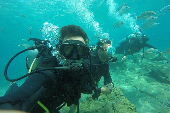 Side Scuba Diving & Underwater Museum Boat Trip with Lunch photo 5