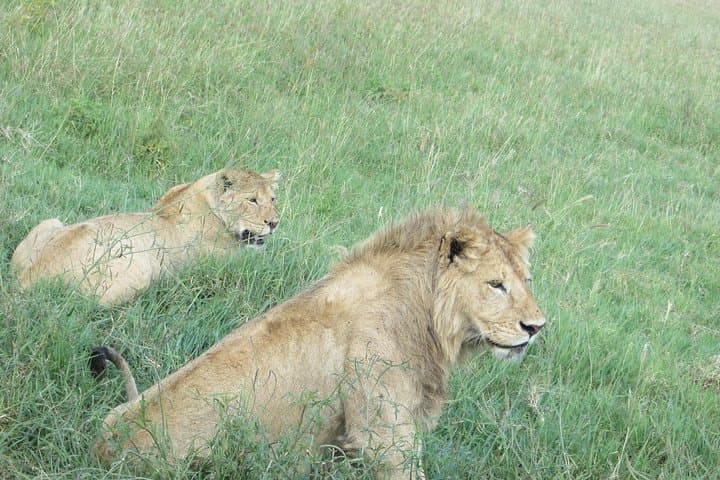 3-Day Safari Through Tarangire and Ngorongoro Crater photo 3