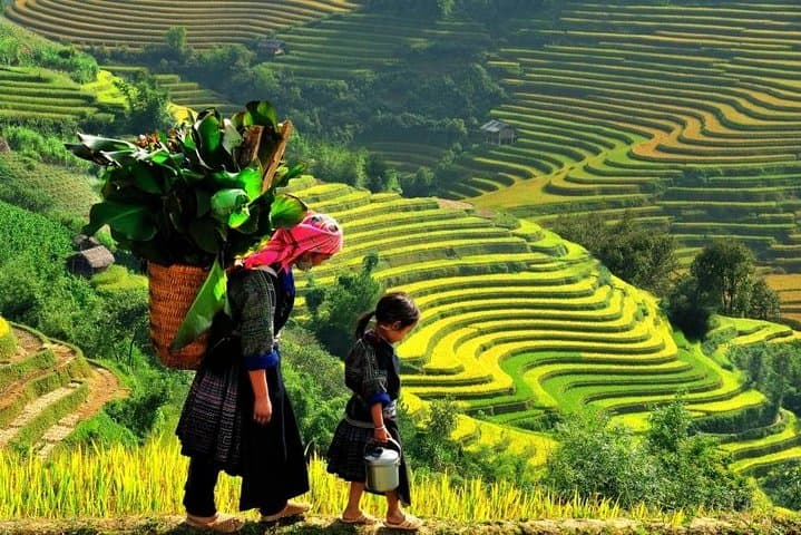 Sapa 2-Day Trek and Overnight Hotel Tour from Hanoi photo 5