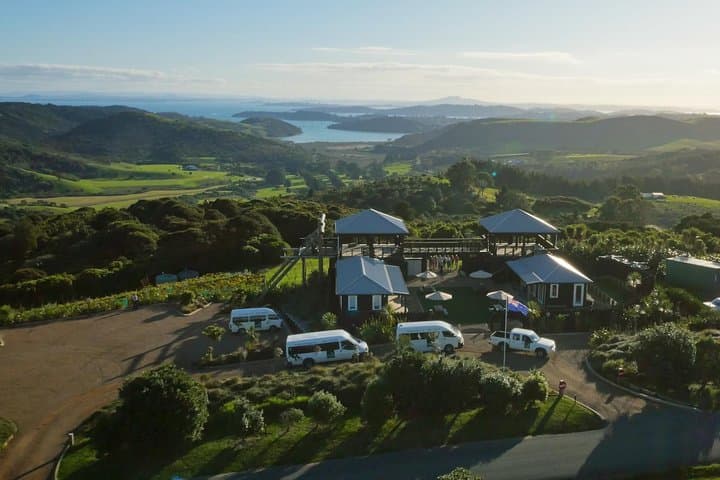 Waiheke Island Zipline and Native Forest Walk — Half-Day Adventure from Auckland photo 1