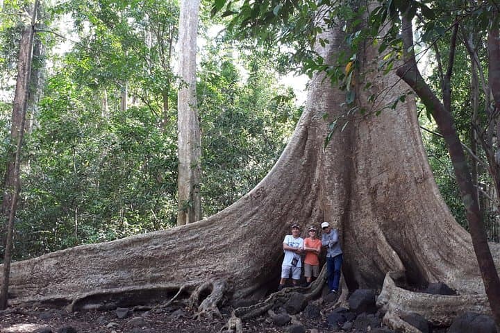 Private Nam Cat Tien National Park 2-Day Trek and Wildlife Night Safari