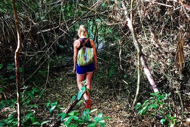 Private Nam Cat Tien National Park: 2-Day Wildlife & Wetland Escape from Ho Chi Minh City photo 5