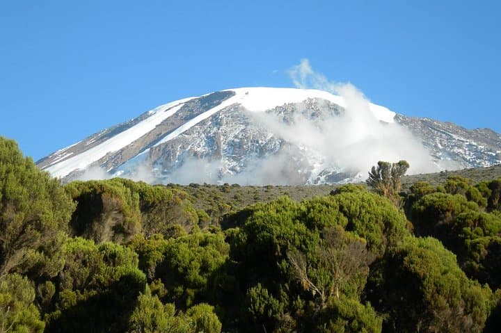 Lemosho Route: 8-Day Kilimanjaro Climb to Uhuru Peak