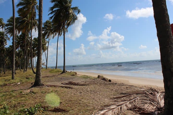 Private Transfer from Recife Airport to Sirinhaém — Direct Door-to-Door Ride to Pernambuco’s Coast photo 6