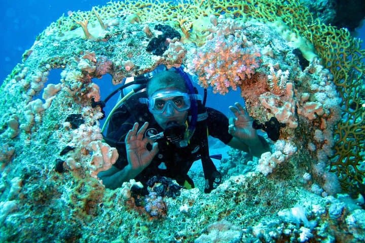 Red Sea Daily Dive: Two-Site Boat Trip from Hurghada photo 2