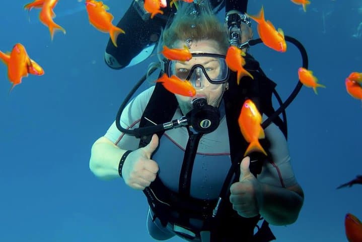 Red Sea Daily Dive: Two-Site Boat Trip from Hurghada photo 3