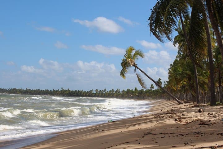 Private Transfer from Recife Airport to Serrambi Beach — Fast, Reliable Airport Ride photo 4