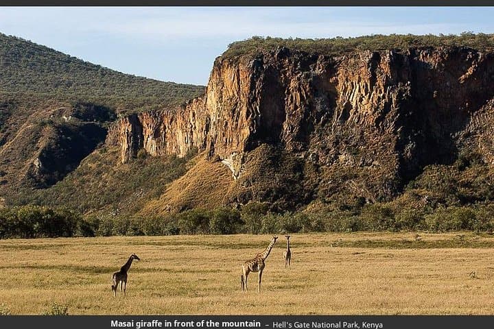 Cycle and Walk Among Wildlife: Day Trip to Lake Naivasha & Hell's Gate from Nairobi