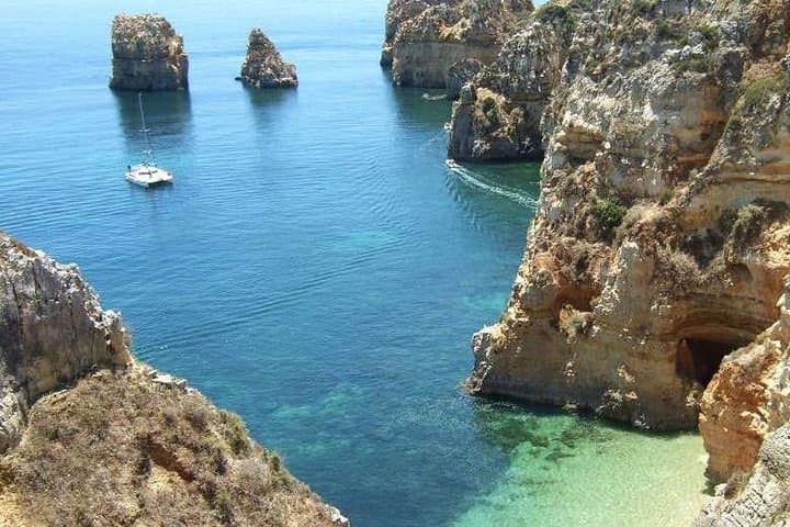 Double Dream Dive in Sesimbra Maritime Reserve — Two Scuba Dives from Lisbon photo 6