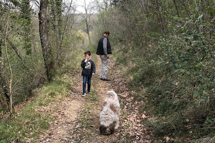 Tuscan Truffle Walk: Guided Truffle Hunt & Rustic Lunch near Florence photo 5