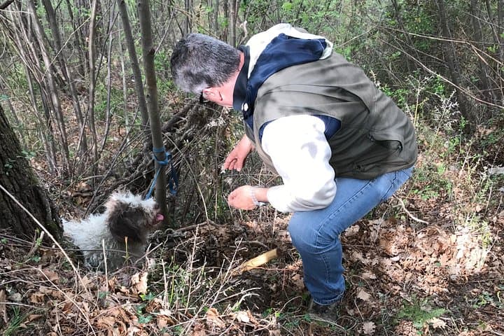 Tuscan Truffle Walk: Guided Truffle Hunt & Rustic Lunch near Florence photo 6